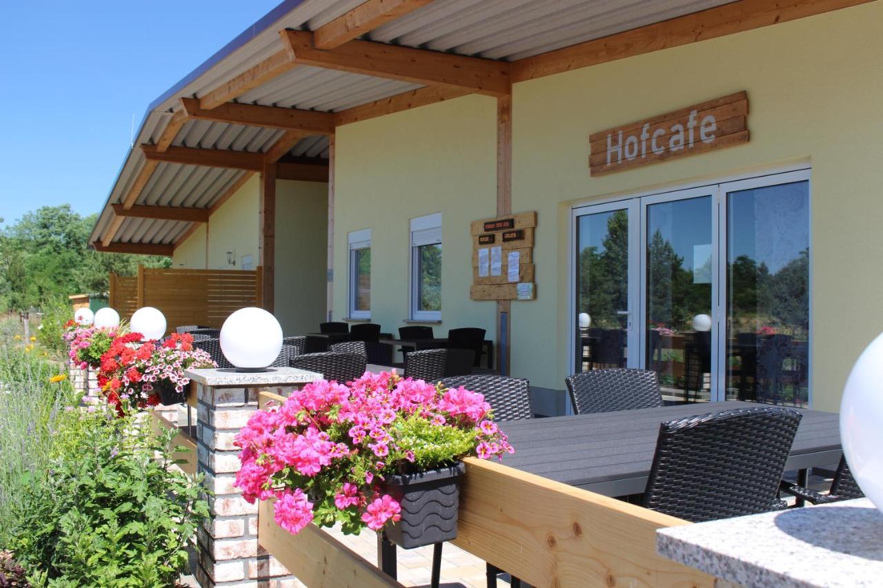 Willa Torhaus Terra Nova Elsterheide Zewnętrze zdjęcie